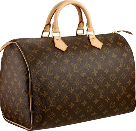 louis vuitton shopping bag png.